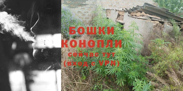 трава Кодинск