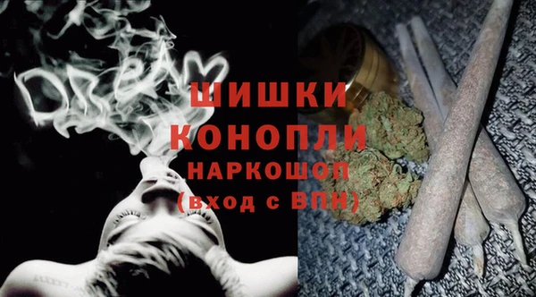 PSILOCYBIN Козловка