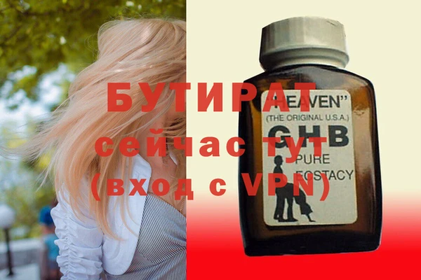 PSILOCYBIN Козловка