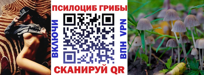 Купить закладки  Борзя  Псилоцибиновые грибы MAGIC MUSHROOMS 